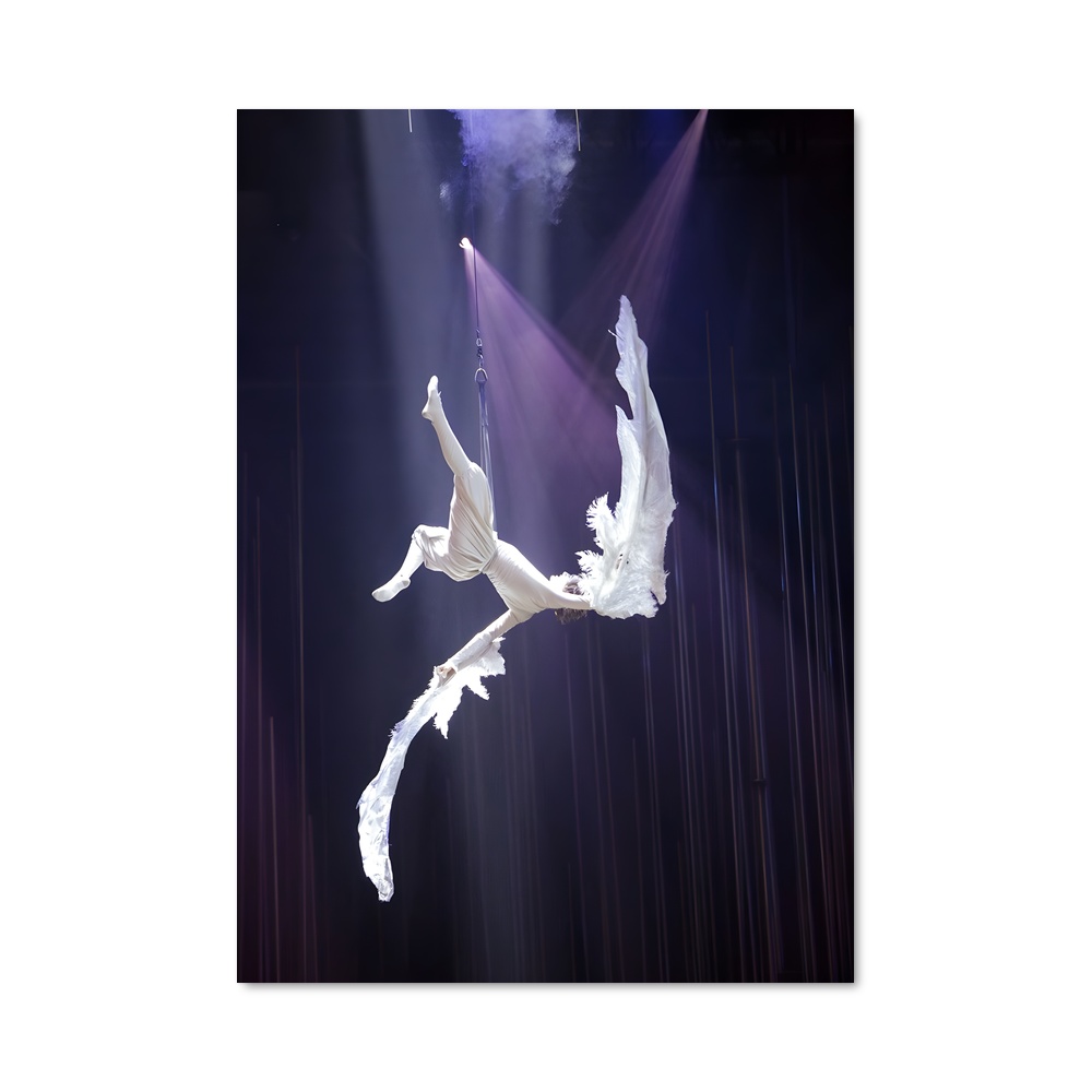 Poster Cirque soleil